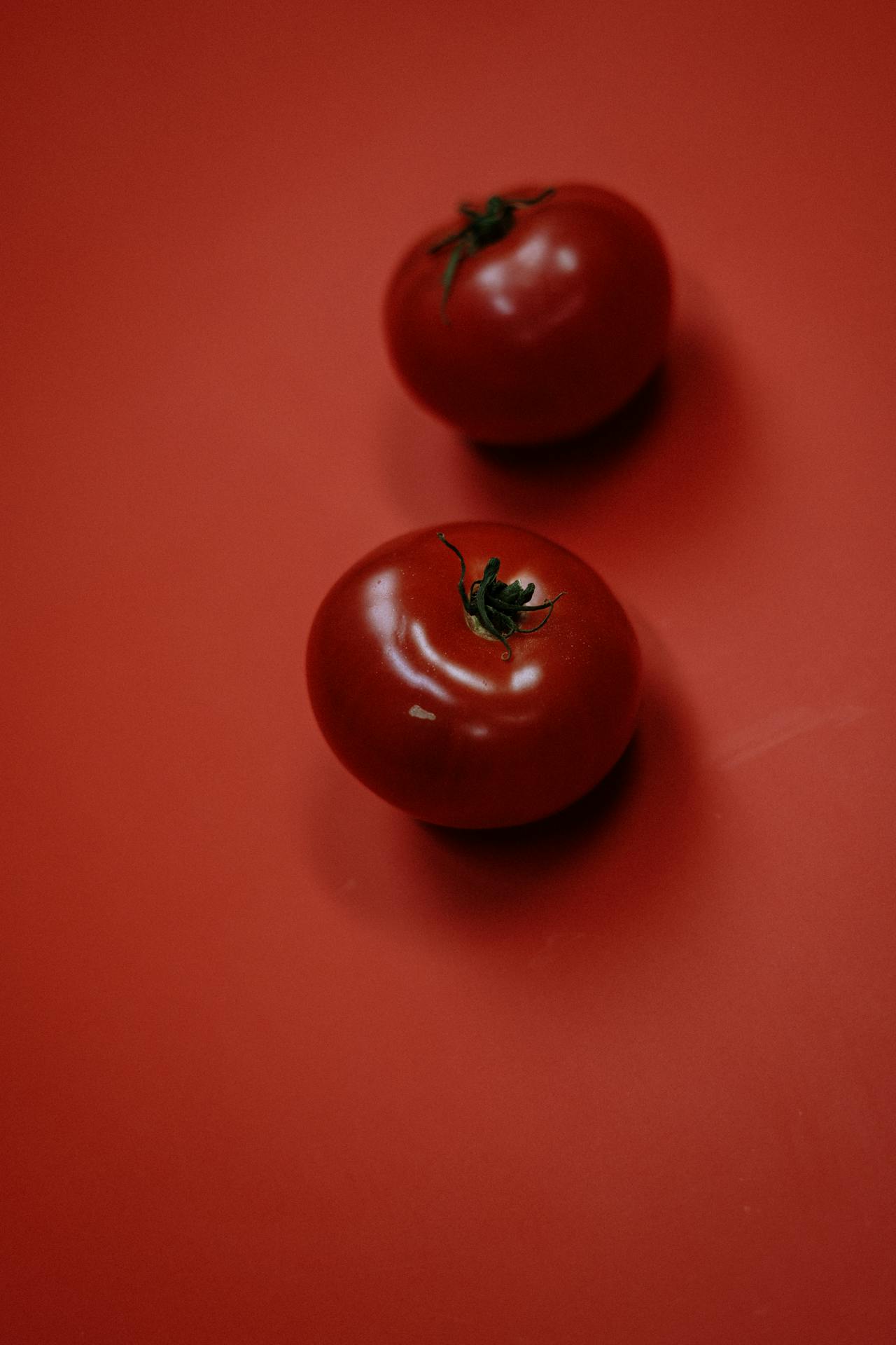tomato on red background