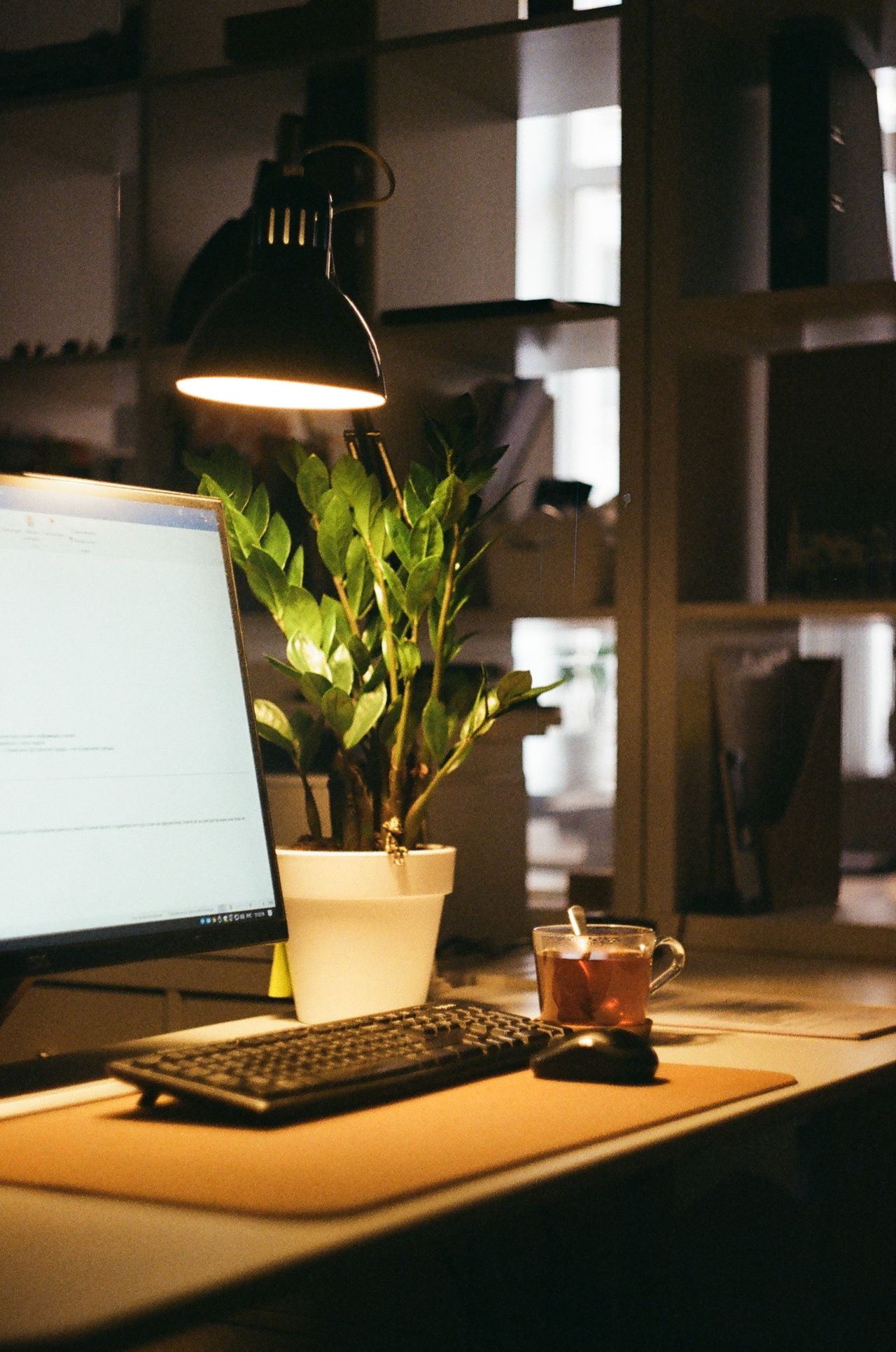 desk with monitor and plant